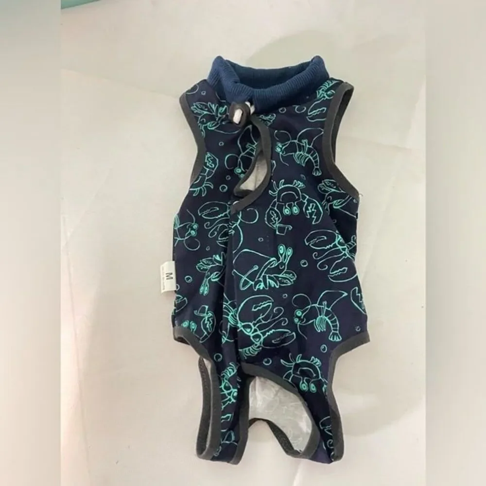 Dog onsie blue and‎ green size medium